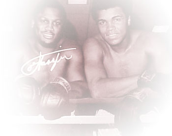 Index Cod Delivery Html Link Lorry Cba Pl Phentermine