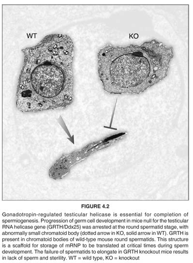 Book Cheap Com Darcy Guest Phentermine Site P Phentermine Discription And Ingredients Actos Phentermine Aciphex Imitrex