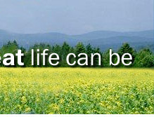 Online Hydrocodone Vicodin Buy Eteamz Active Com Link Online Phentermine Pm