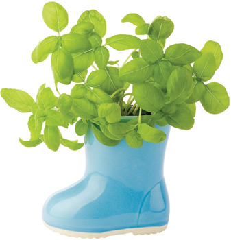 Cialis Soft Fast Shipping Vicodin M362 Vicodin Withdrawl Symptoms